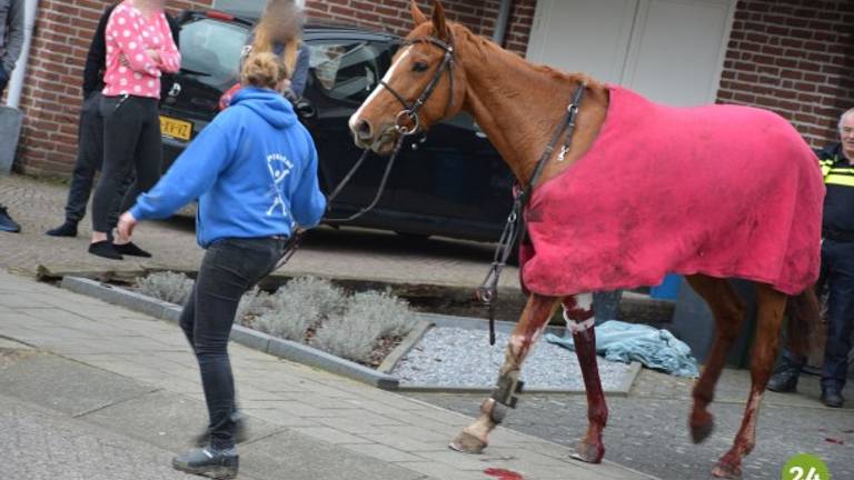 Omroep Brabant