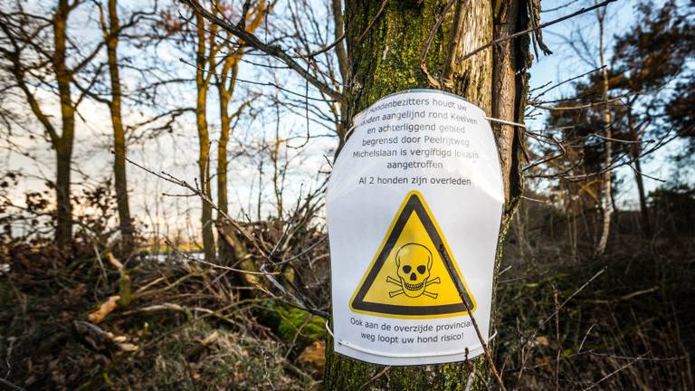 Gemeente Someren waarschuwt hondenbezitters. (Foto: Rob Engelaar / Infocus)
