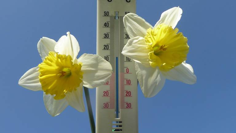 De zon gaat dit weekend weer flink schijnen (Foto: Peter van der Schoot)