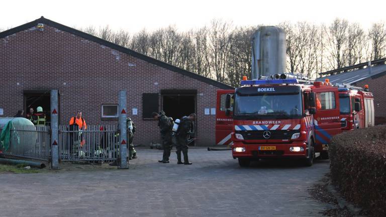 De boerderij in Erp (foto: Marco van den Broek / SQvision)