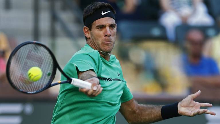 Juan Martin del Potro is een van de 'prachtige namen' die in Rosmalen zal spelen (foto: ANP).