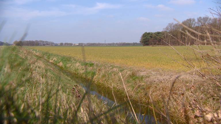 Nieuwe N629 moet dwars door natuurgebied Dongen gaan