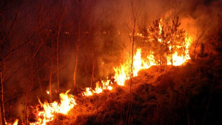 Het risico op natuurbranden in groot (archieffoto)