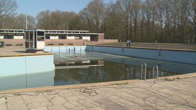 Kikkers Padden En Een Verdronken Vosje Zwembad Wolfslaar Schoongepoetst Voor De Zomer Omroep Brabant