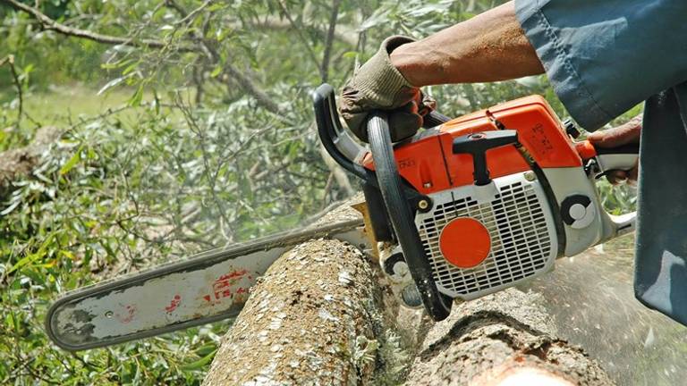 De zaag gaat in 840 bomen