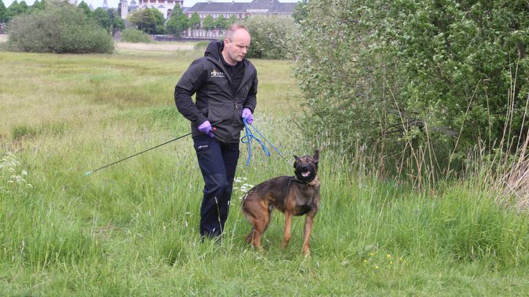 De politie doet onderzoek in het Bossche Broek (Foto: Bart Meesters/Meesters Multi Media)