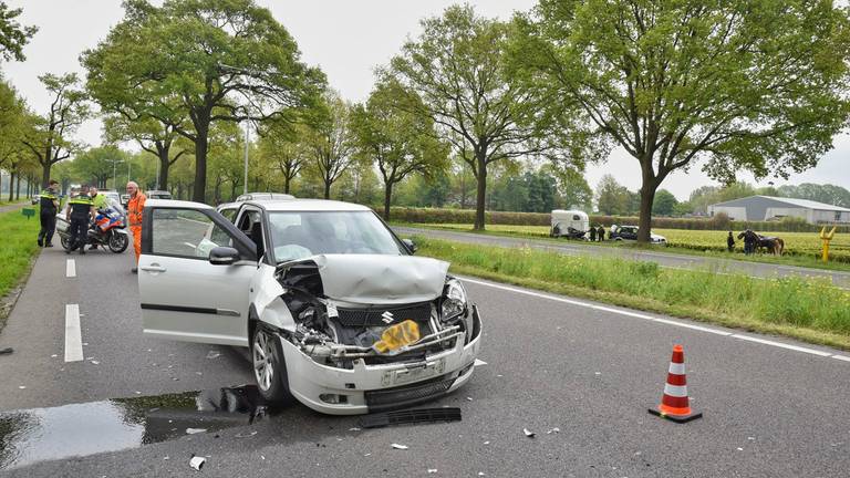 Op de achtergrond de paarden (foto: Toby de Kort / De Kort Media)