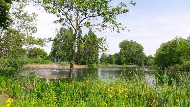 Breda (Foto: Henk Voermans)