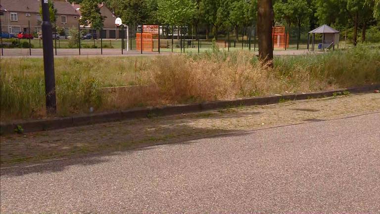 De parkeerplaats waar de taxichauffeur stilstond.