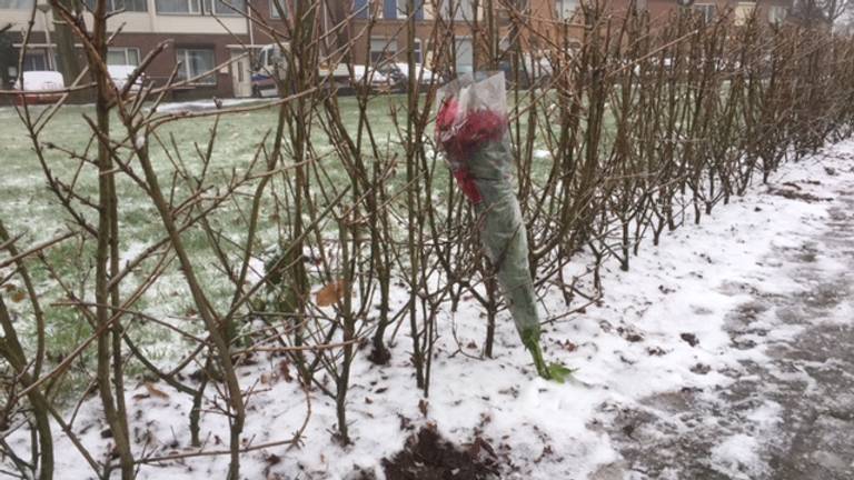 De plek van de moord in Breda, januari 2017 (foto: Willem-Jan Joachems)