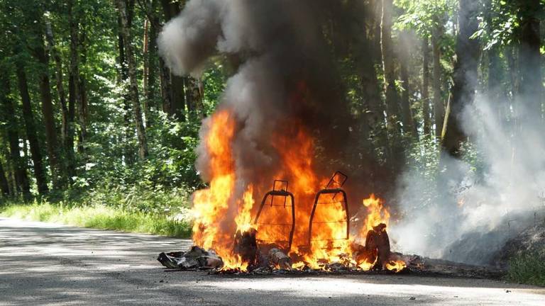 fOTO: Martijn van Bijnen/FPMB