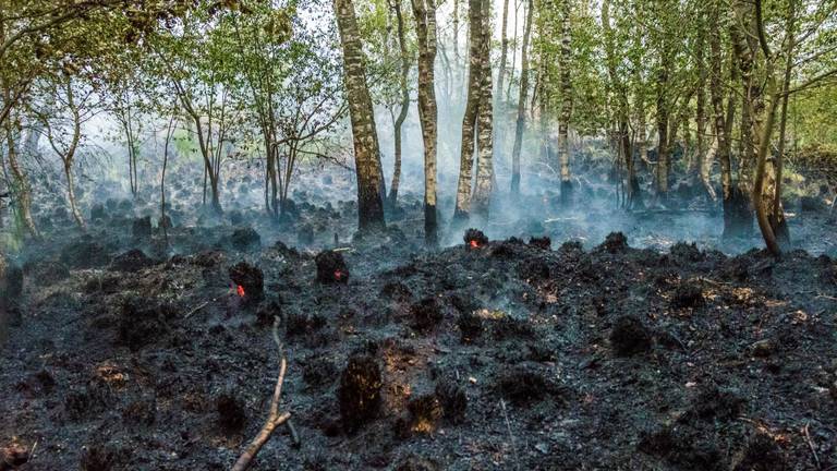 Een deel van het getroffen gebied vrijdagochtend vroeg. (Foto: Sem van Rijssel/SQ Vision)