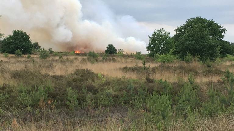 De bosbrand (foto: Hans van Hamersveld/Kijk en Klik media)