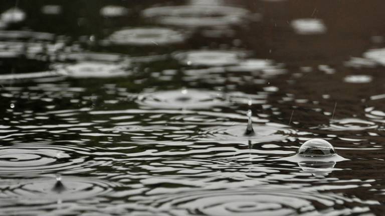 Archieffoto: Ans van Ballegooy.