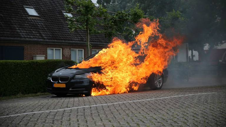 Foto: Mathijs Bertens/ Stuve Fotografie