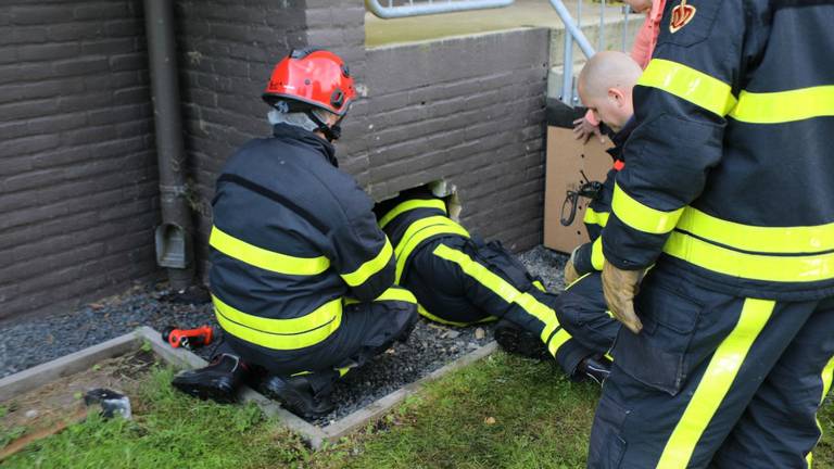 Foto: Erik Haverhals / Foto Persbureau Midden Brabant