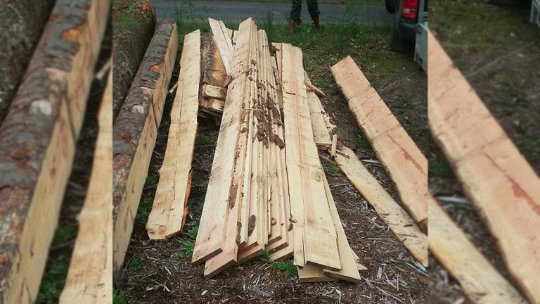 Achtergelaten planken in het Leenderbos (foto: Erik Schram/Staatsbosbeheer)