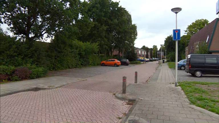 De Zuster Will van Hooijdonkstraat in Putte. 