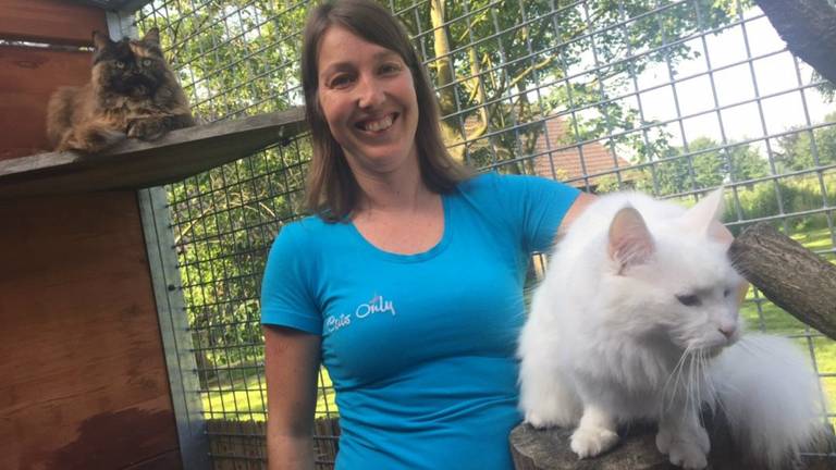 Mushi en Sunny in het kattenhotel van Wendy Govers