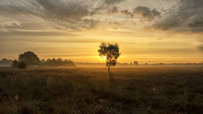 Omroep Brabant