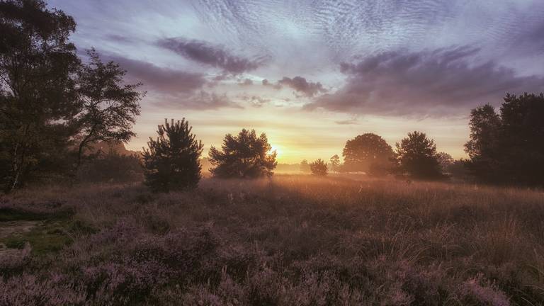 Omroep Brabant