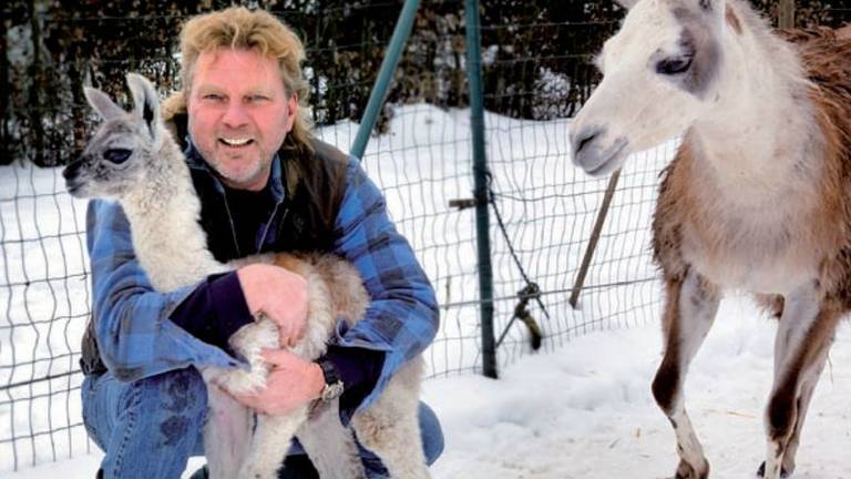 Henri met zijn lama's. (Foto: Henri Guns)