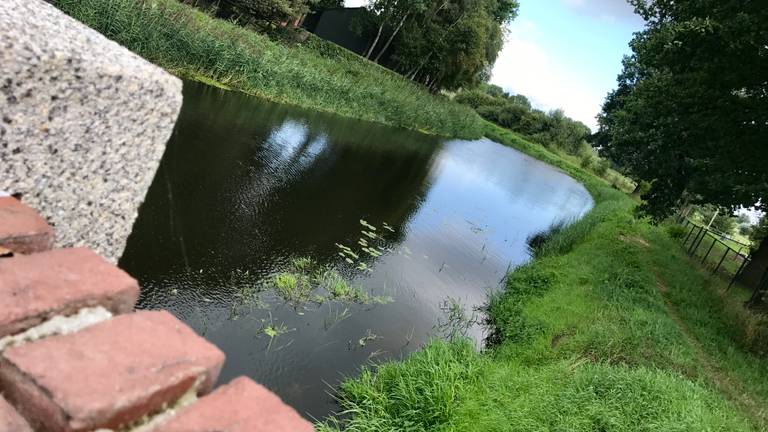 Rivier de Aa Foto: Hannelore Struijs