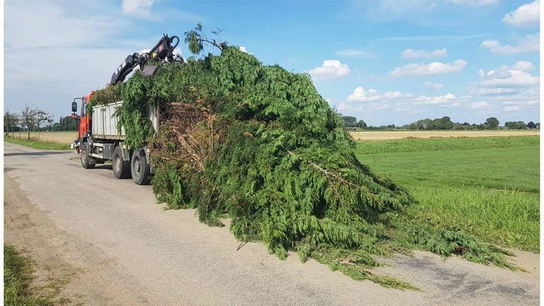 Vrachtwagen met iets te lange lading. (Foto: Politie Zeeland West-Brabant)