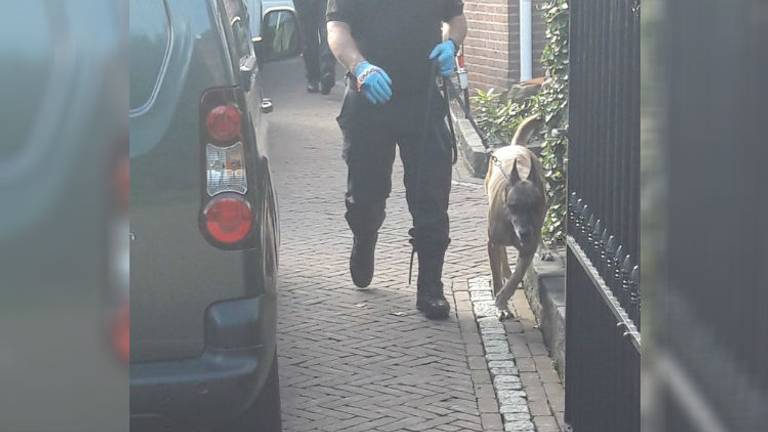 De politie zette een speciale geldhond in.