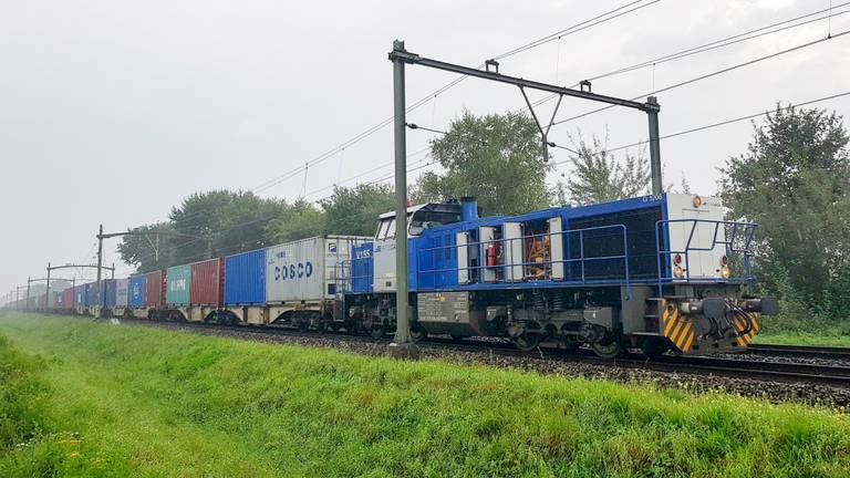 Foto: Jules Vorselaars