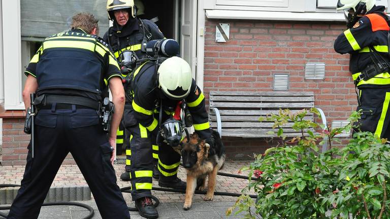 Foto: FPMB / Marvin Doreleijers