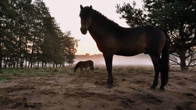 Omroep Brabant