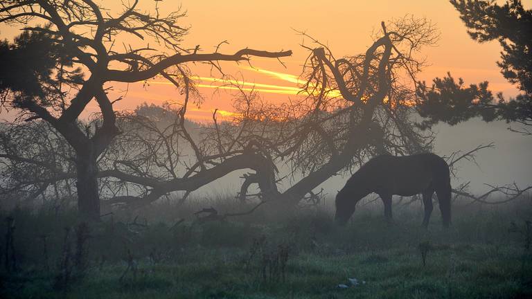 Omroep Brabant