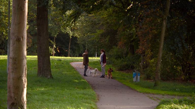 Buurtbewoners uit de Tilburgse wijk De Blaak zijn extra alert nu er een aanrander actief is