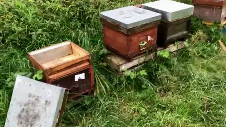 De honing uit de bijenkasten is meegenomen. (Foto: Boswachter Arie)