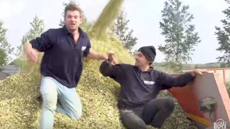 De twee presentators staan midden in de straal met versnipperde mais. Foto: youtube / zoek het uit