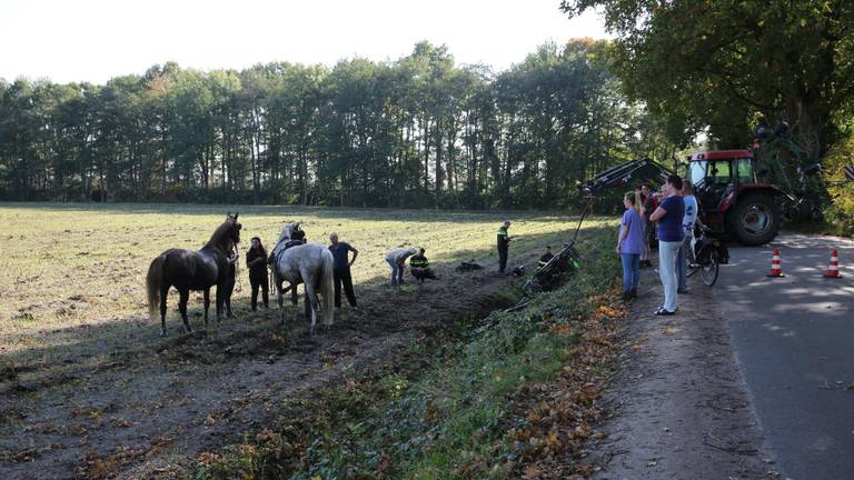 De paardenkar kwam in de sloot terecht. (Foto: SQ Vision Mediaprodukties)