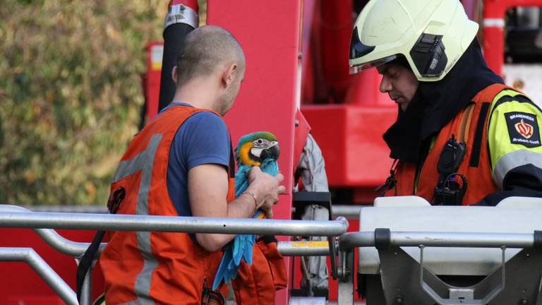 Het beestje is weer veilig aan de grond. (Foto: AS Media)