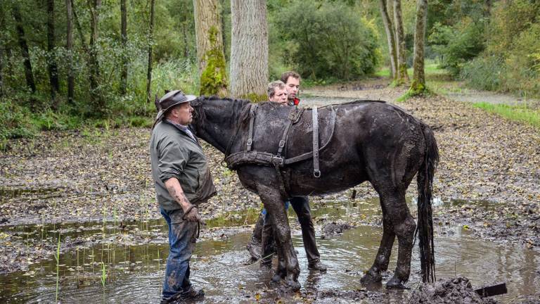 Omroep Brabant