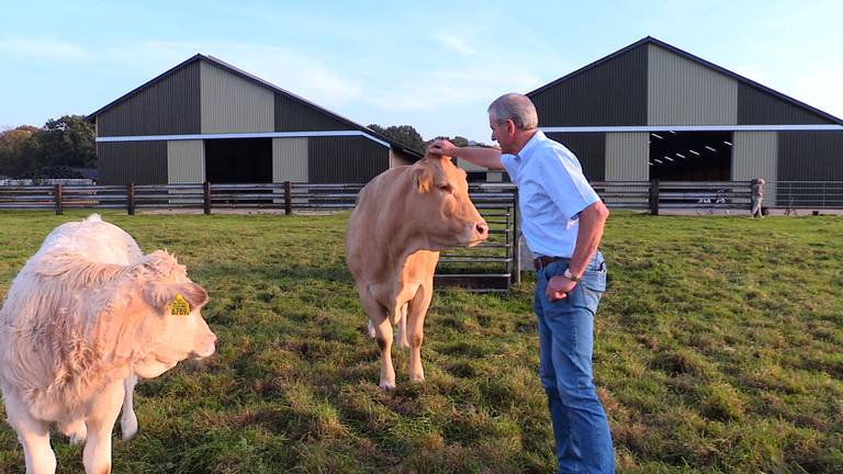 Boer Henk geeft zijn favoriete koe een aai over zijn kop. (Foto: Raymond Merkx)
