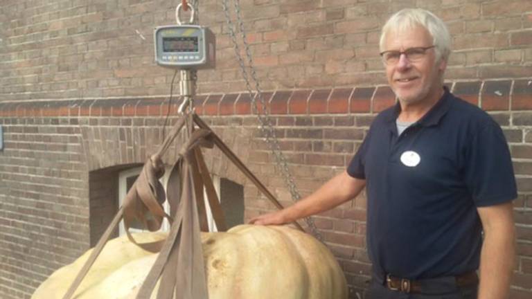 Tuinman Peter de Leeuw showt vol trots de reuzenpompoen (Foto: Park Zuiderhout)