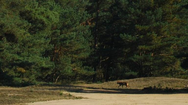 Omroep Brabant