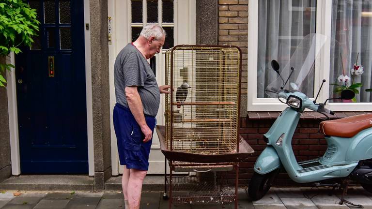 De papegaai werd uit de brandende woning gered. (Foto: Dave Hendriks/ SQ Vision)