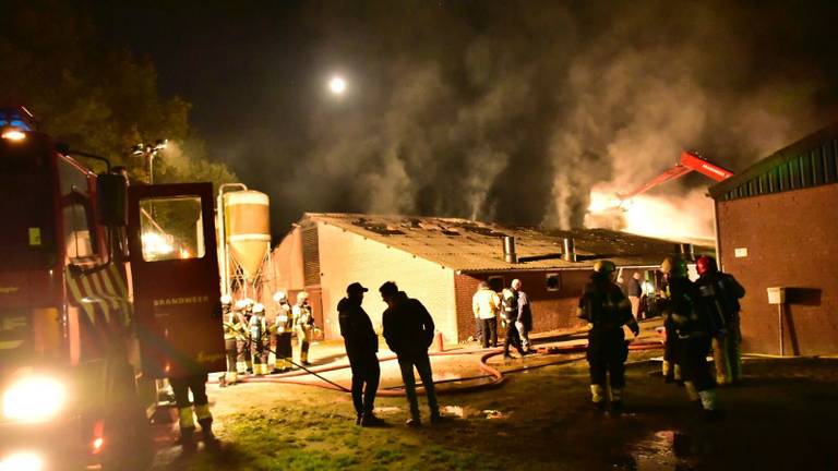 In een varkensstal aan de Halvemaanweg in Deurne woedde in november 2017 een grote brand. (Foto: Martien van Dam / SQ Vision)