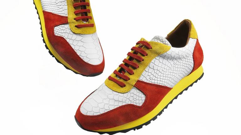 De sneakers van Martijn Smits