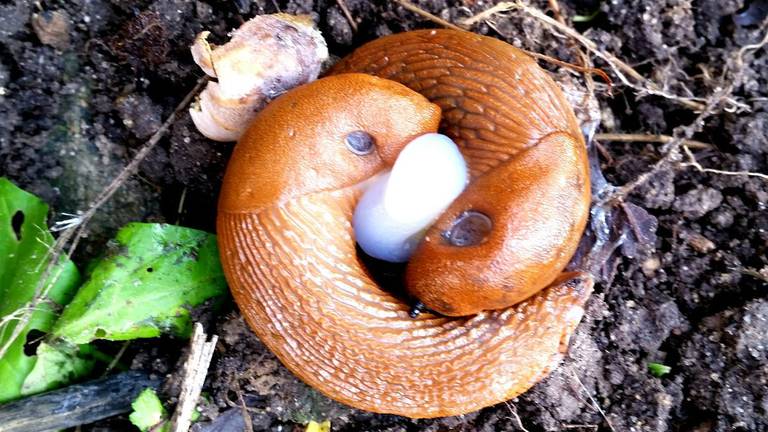 Paypoqdagi etuk ayollarning dumbalarini tomosha qiling