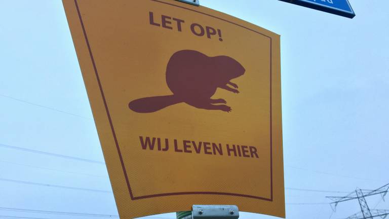 Opgelet want wij leven hier en wij kunnen onverwachts oversteken