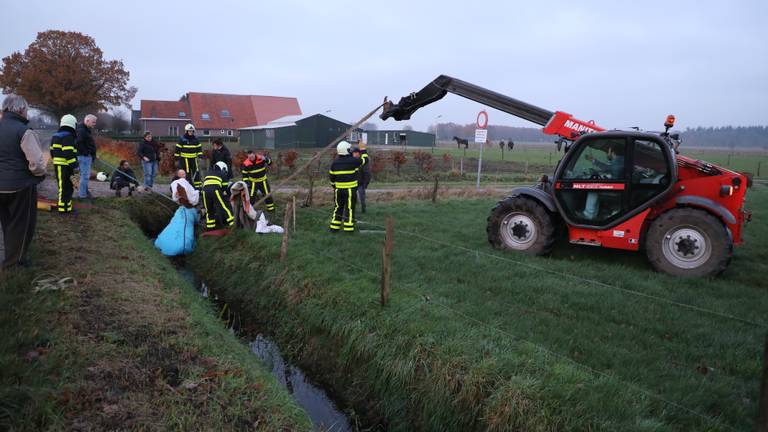 Het paard kwam vast te zitten in de sloot. (Foto: Persbureau Midden Brabant)