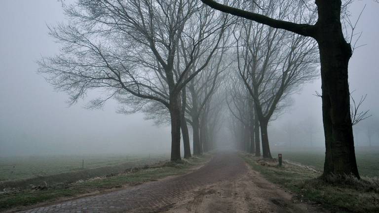 Omroep Brabant