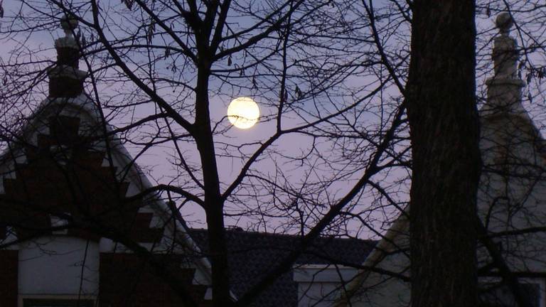 Zie de maan schijnt door de bomen (foto:Henk Voermans).